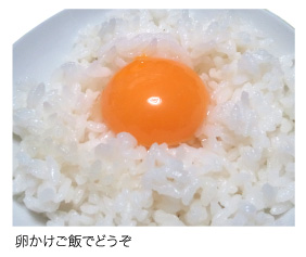 卵かけご飯